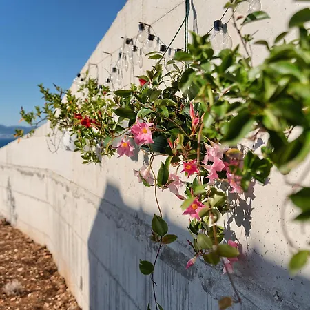 House Sunset Haven 2 *